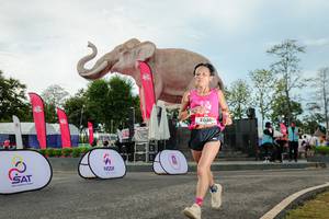 BIB: 
                            <button type="button" onclick="openModal(26529058)" class="btn btn-primary btn-sm float-right btn-popup" data-toggle="modal" data-target=".modal-high-quality">
                        <i class="fas fa-shopping-cart"></i> Add to Cart
                    </button>
                                            <button type="button" onclick="isThisMe(26529058, true)" class="btn btn-success btn-sm float-right btn-popup btn-isme hidden" data-toggle="tooltip" data-placement="bottom" title="นี่คือรูปของคุณใช่ไหม คลิกที่นี่เพื่อเอาเข้าอัลบั้ม">
                        <i class="fas fa-plus"></i> Add to album
                    </button>
                    <button type="button" onclick="isThisMe(26529058, false)" class="btn btn-warning btn-sm float-right btn-popup btn-isnotme hidden">
                        <i class="fas fa-ban"></i> Remove from album
                    </button>